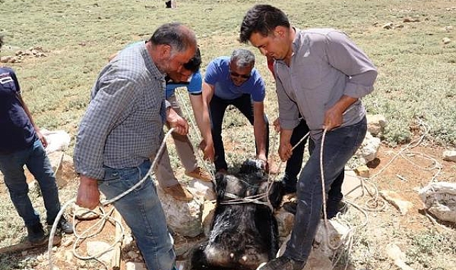 'Somut Olmayan Kültürel Miras Envanteri'ne 4 unsur daha