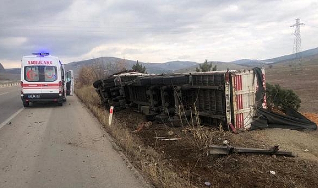 Talaş yüklü kamyon devrildi