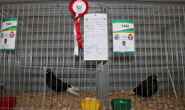 Ulusal Kümes Hayvanları Gösterisi sona erdi