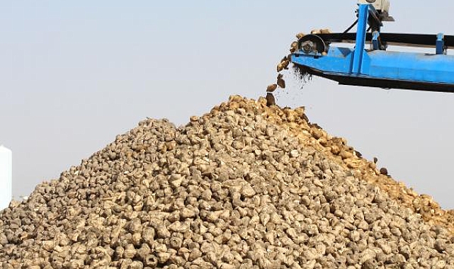 Burdur Şeker Fabrikası'nda 76 bin ton şeker üretildi