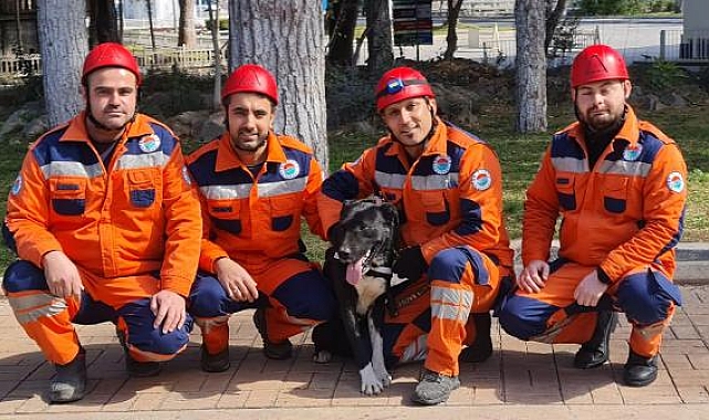 Depremzede köpek 'Hayat', yeni hayatlar kurtaracak