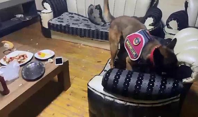 Ahıra saklanan uyuşturucuyu jandarma buldu
