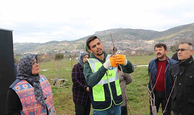 Akseki ve Demre'de budama ve aşılama eğitimi verildi