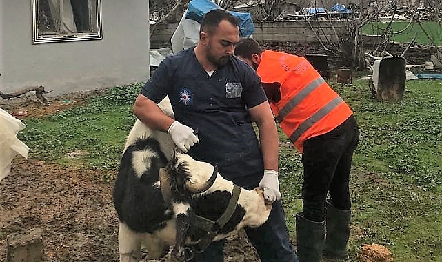 Antalya Büyükşehir Belediyesi'nden Gaziantep'te veterinerlik hizmeti