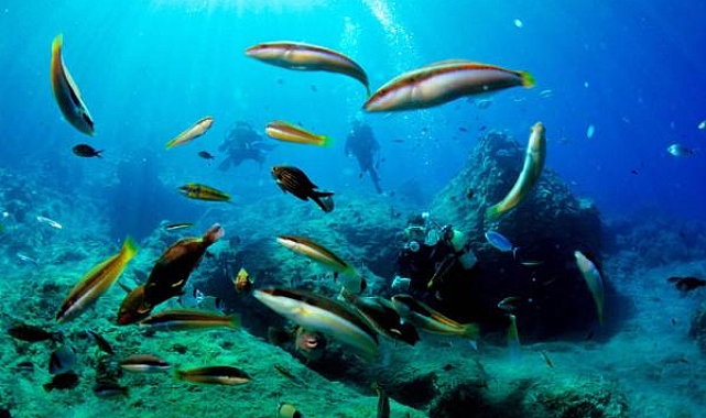 Antalya'da dalış turizmi için geri sayım başladı