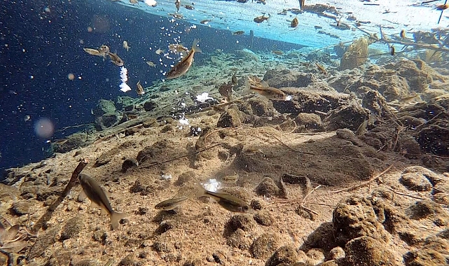 Antalya'nın jeolojik yapısı açısından önemli bir bulgu