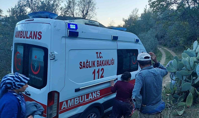 Badem ağacından düşen adam ağır yaralandı