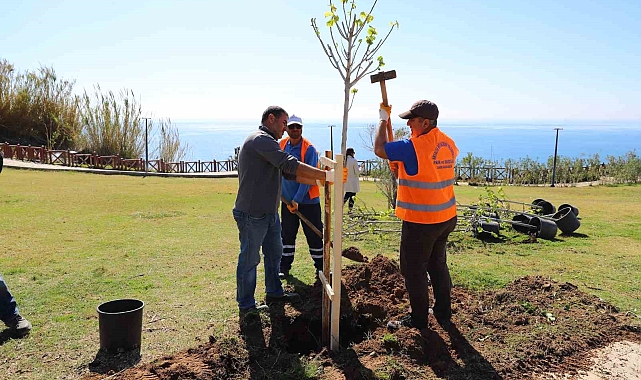 Düden Park'ta yeşillendirme çalışması