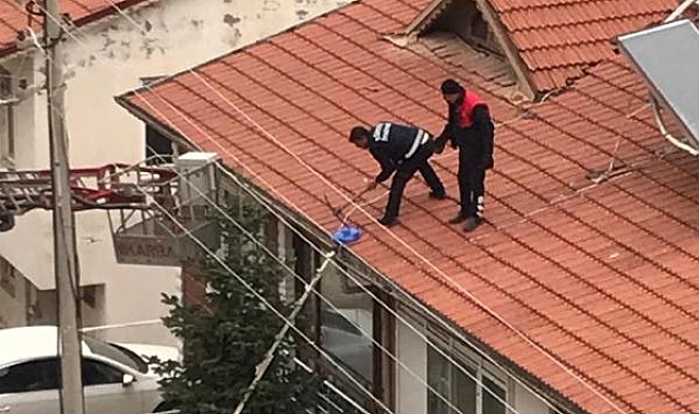 Mahsur kaldığı çatıdan 1 hafta sonra kurtarıldı