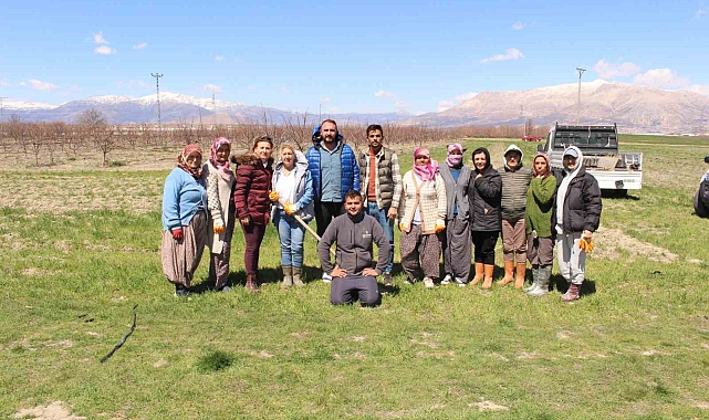 Antep fıstığı fidanları Elmalı'da toprakla buluşturuldu