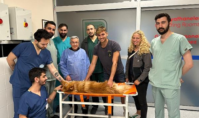 Azı dişi kırılan köpeğe kanal tedavisi ve dolgu yapıldı