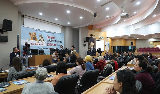 Başkan Böcek: Sokak hayvanlarına desteğimiz sürecek