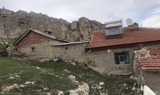 Diken üstünde yaşıyorlar