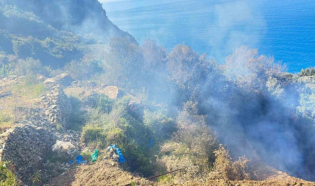Gazipaşa'da yerleşim yerlerine yakın noktada yangın çıktı