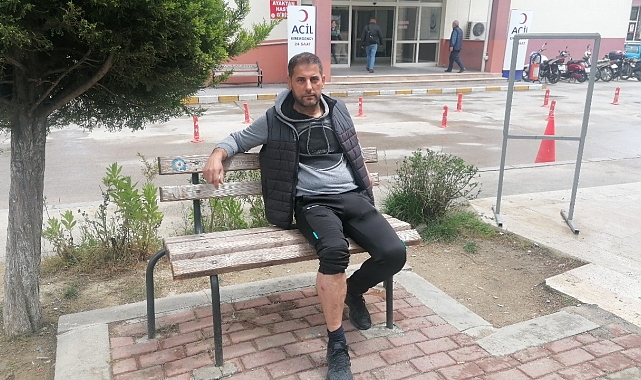 Seçmen bilgi kağıdı dağıtan muhtar, sokak köpeklerinin saldırısına uğradı