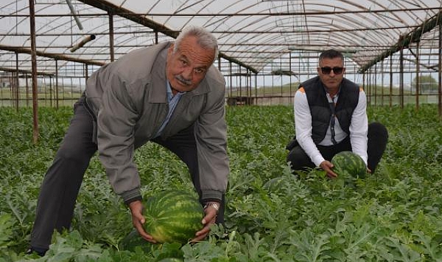 Serikli üretici karpuz hasadına hazırlanıyor