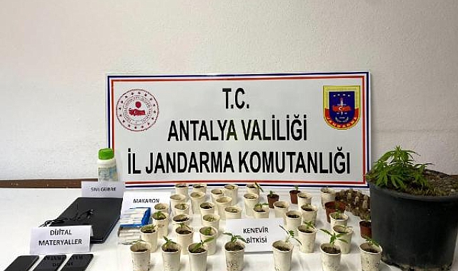 Ürettiği uyuşturucuları satmak isteyen şüpheli yakalandı