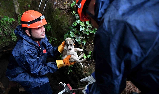 5 metrelik çukurda mahsur kalan yavru köpek kurtarıldı