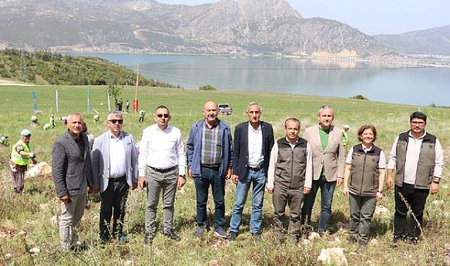 Eğirdir'in kokulu ardıçları büyüyor