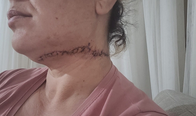 Falçatalı cani için üst sınırdan ceza talebi
