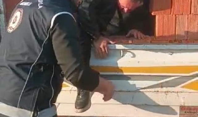 Kamyonetin kasasındaki tuğlaların arasına gizlendi !