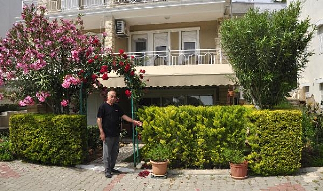 Komşusunun ağaçlarını kesmekten, 6 yıl hapsi istendi