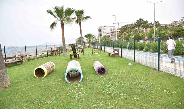 Mahmutlar Mahallesi'nde köpekler için oyun ve eğitim parkını hizmete açıldı