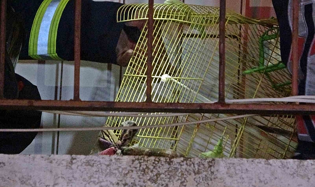 Müstakil evde çıkan yangında 2 kişi dumandan etkilendi, muhabbet kuşu kafesinde telef oldu