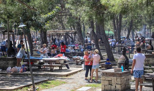 Oylarını kullanıp, pikniğe koştular