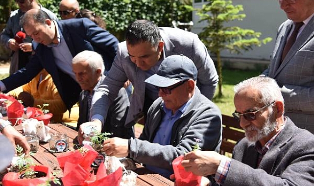 Yaşlı Dostu Yaşam Günü