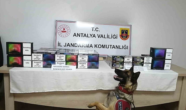 Antalya'da jandarmadan uyuşturucuya geçit yok