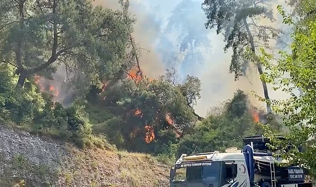 Antalya'da konteyner yangını ormanlık alana sıçradı