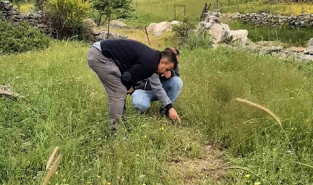 Bitki sağlığı ile ilgili kontroller tamam