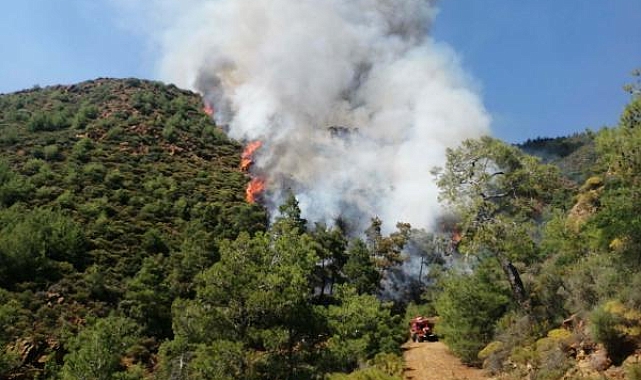 Cesedin ateşe verilmesiyle yangın çıkan olayda şüpheli serbest