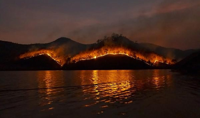 Dünya Kaynakları Enstitüsü: Ormanlarımız kaybetmeye devam ediyoruz