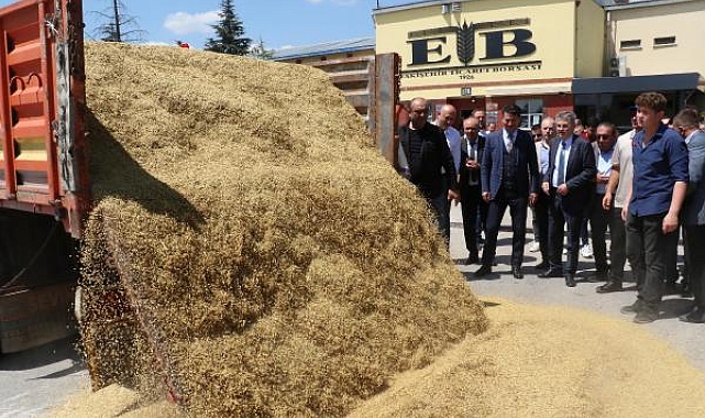 Eskişehir'de çiftçinin yüzü yağışlarla güldü