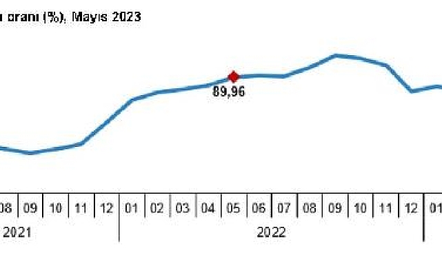 Hizmet üretici enflasyonu mayısta yüzde 65,47 oldu