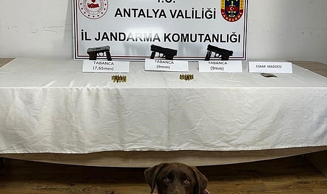 Jandarma narkotik köpeklerinden uyuşturucuya geçit yok