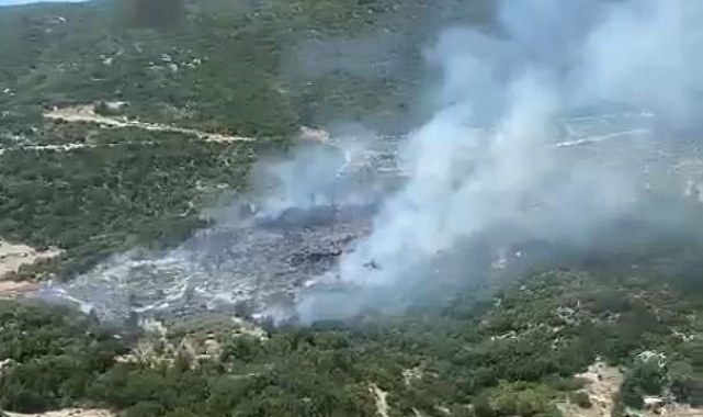 Kaş'ta orman yangını