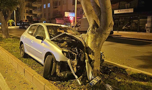Kontrolden çıkan otomobil, ağaca çarparak durabildi