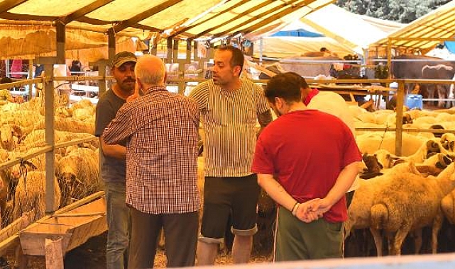 Kurban bayramına 4 gün kala hayvan pazarlarında hareketlilik devam ediyor
