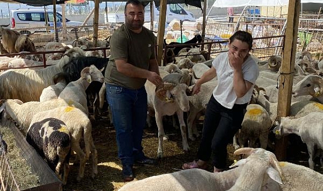 Kurban pazarında arife yoğunluğu  