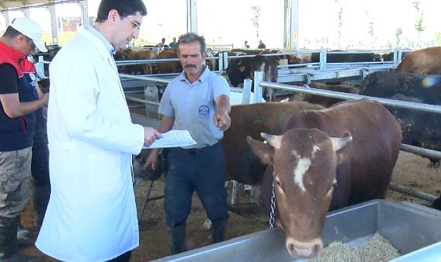Kurbanlıklara çifte denetim