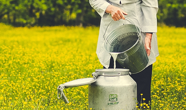 Sağlıklı bir nesil için sütü sofranızdan eksik etmeyin