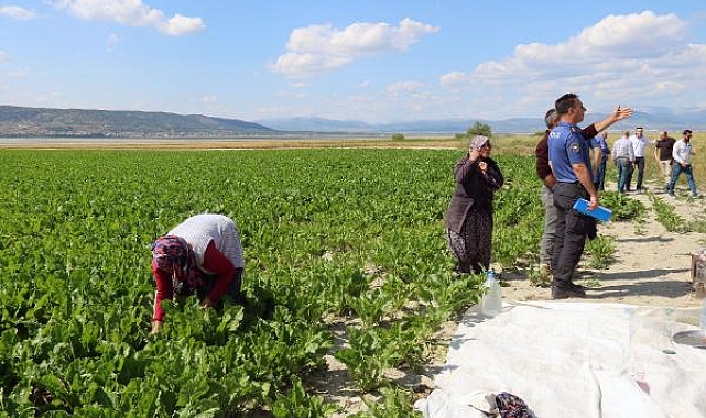 Tarlada çalışırken omzuna yorgun mermi isabet etti