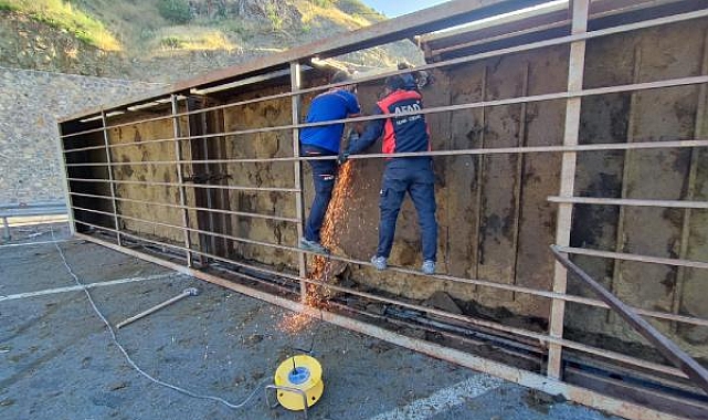 TIR devrildi; sürücü ve 150 kurbanlık koyun öldü