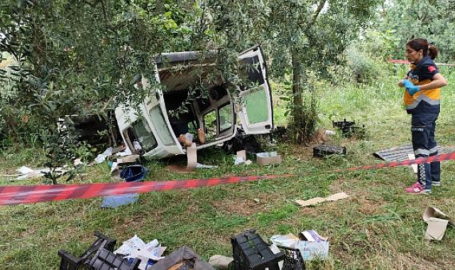 Topladığı erikleri satmak için yola çıktı, kazada öldü