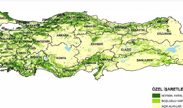 Türkiye'nin en yeşil kentleri; Antalya ilk sırada yer aldı