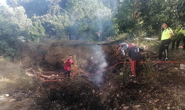 Yılandan korkup ormanı yakıyordu