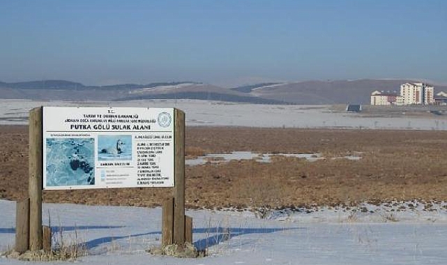 145 alanda 2 milyonu aşkın su kuşu sayıldı; kuruyan 3 gölde kuş görülmedi